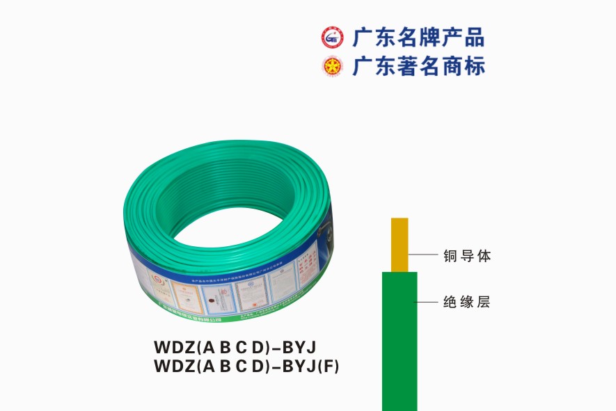 WDZ(A  B  C  D)-BYJ